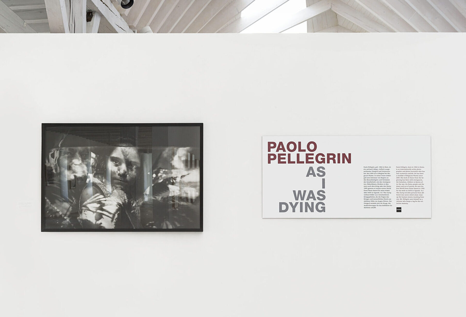 Paolo Pellegrin, As I was dying, Fotografie