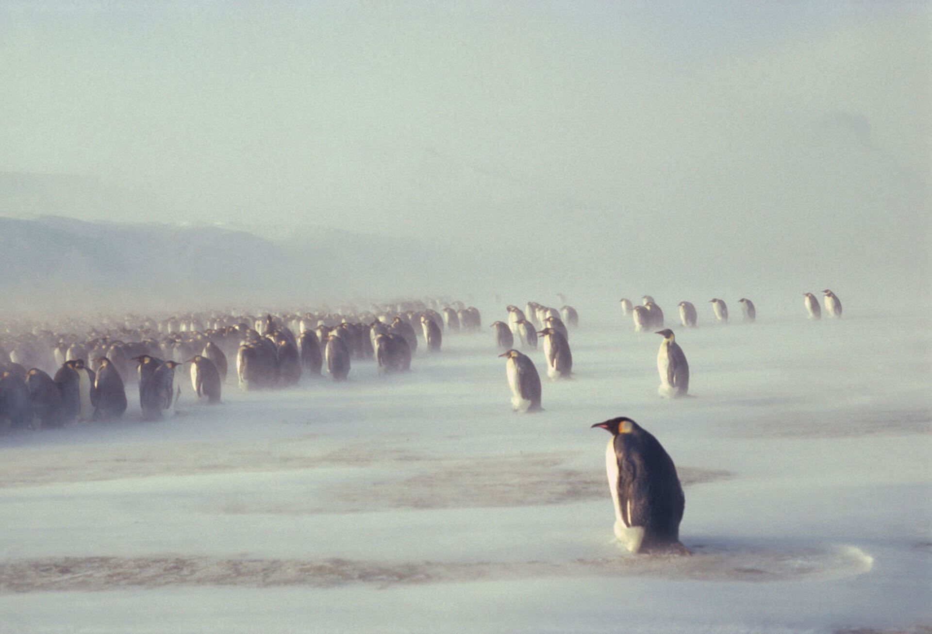 © Fotografie Bruno P. Zehnder