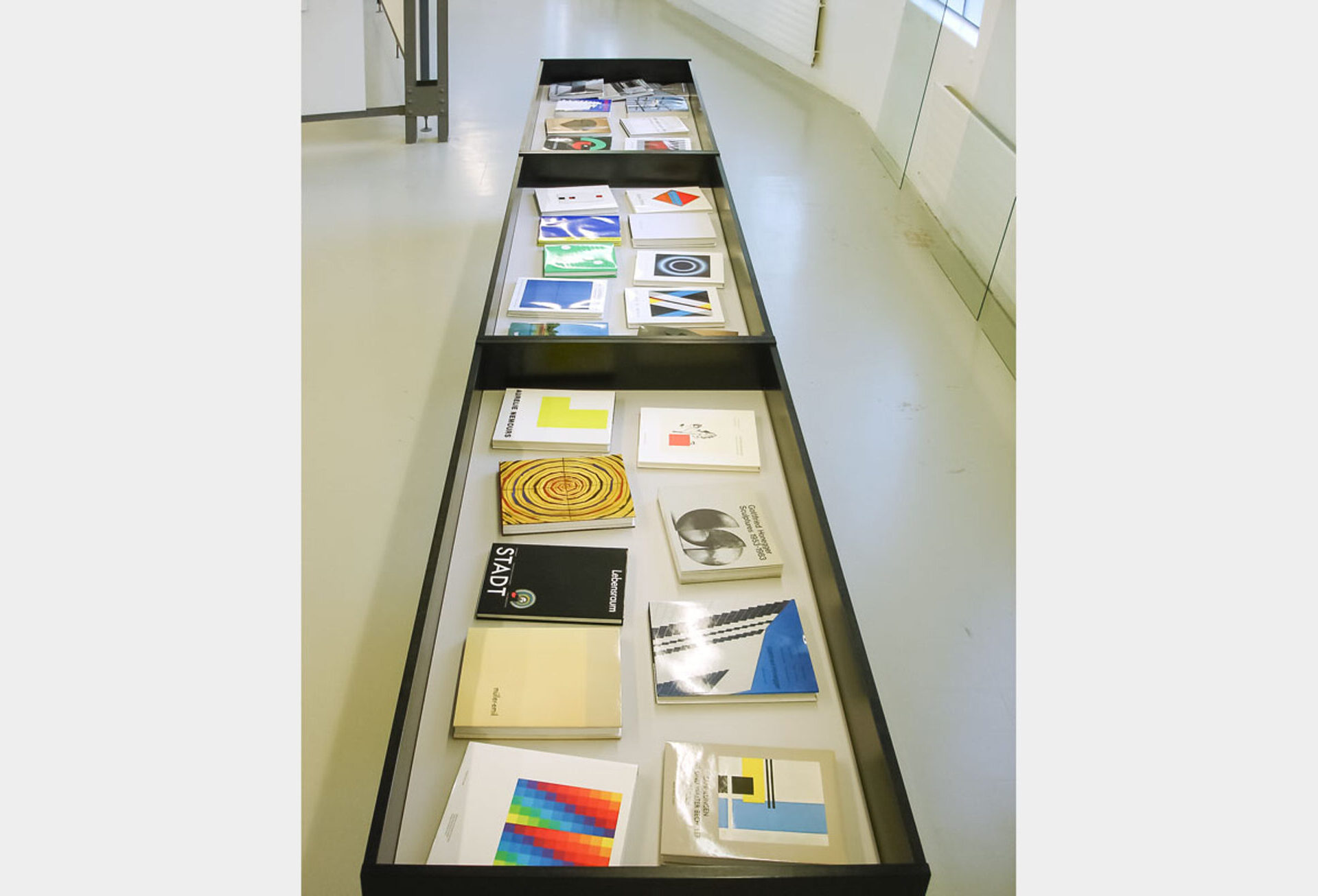 Publikationen des Waser Verlag