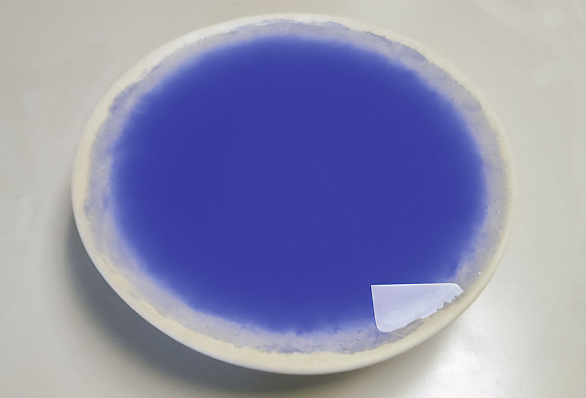 Janeth Berrettini, Objekt