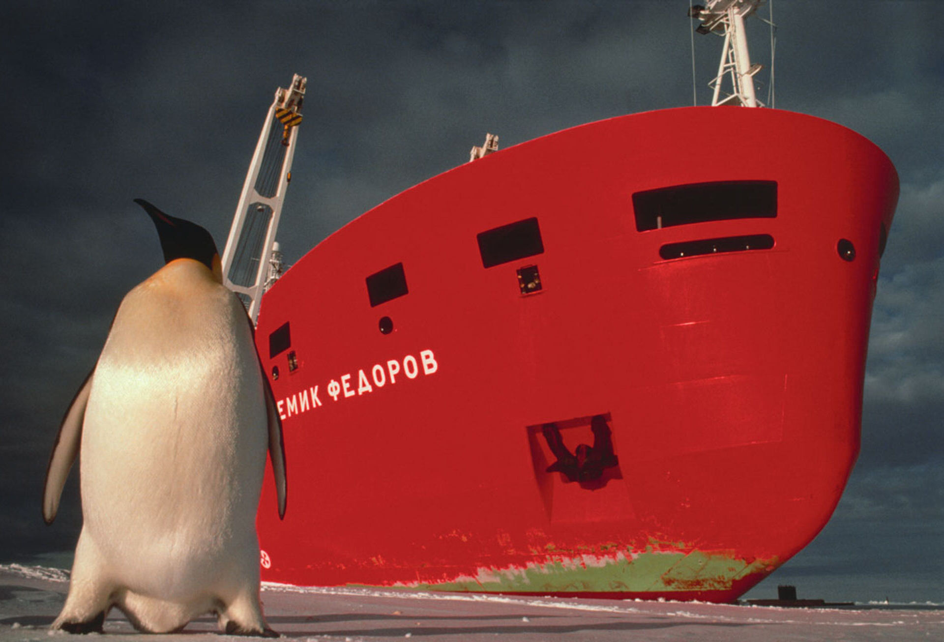 © Fotografie Bruno P. Zehnder