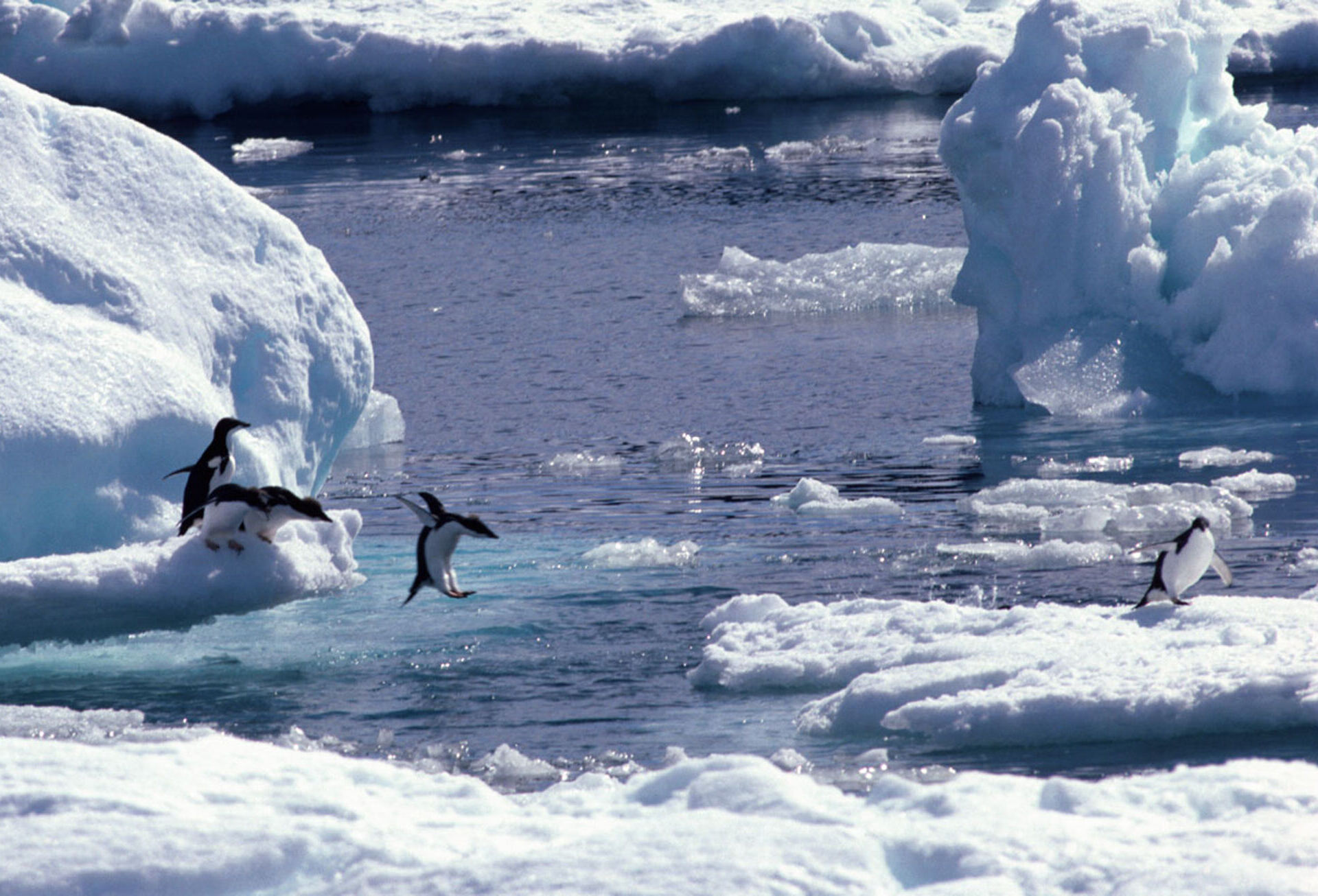 © Fotografie Bruno P. Zehnder