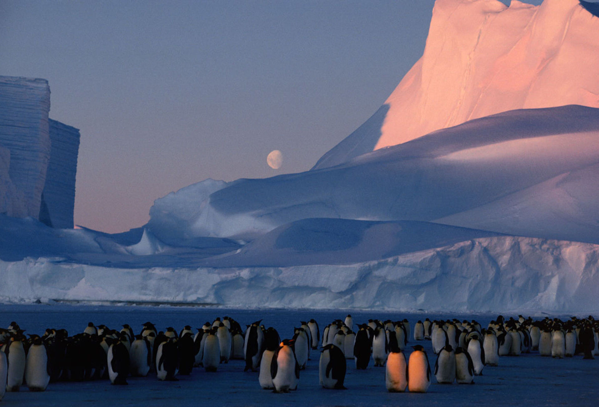 © Fotografie Bruno P. Zehnder