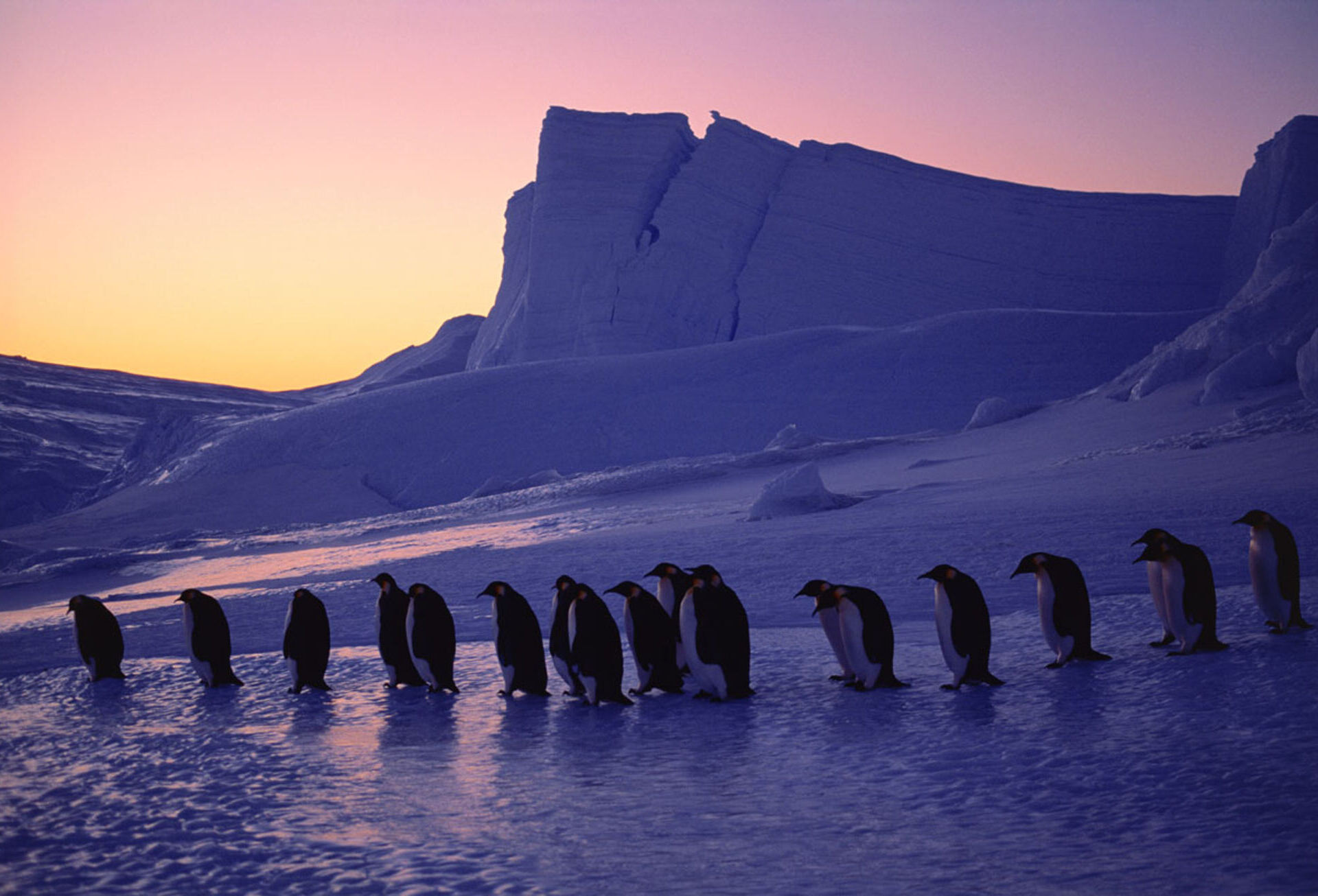 © Fotografie Bruno P. Zehnder