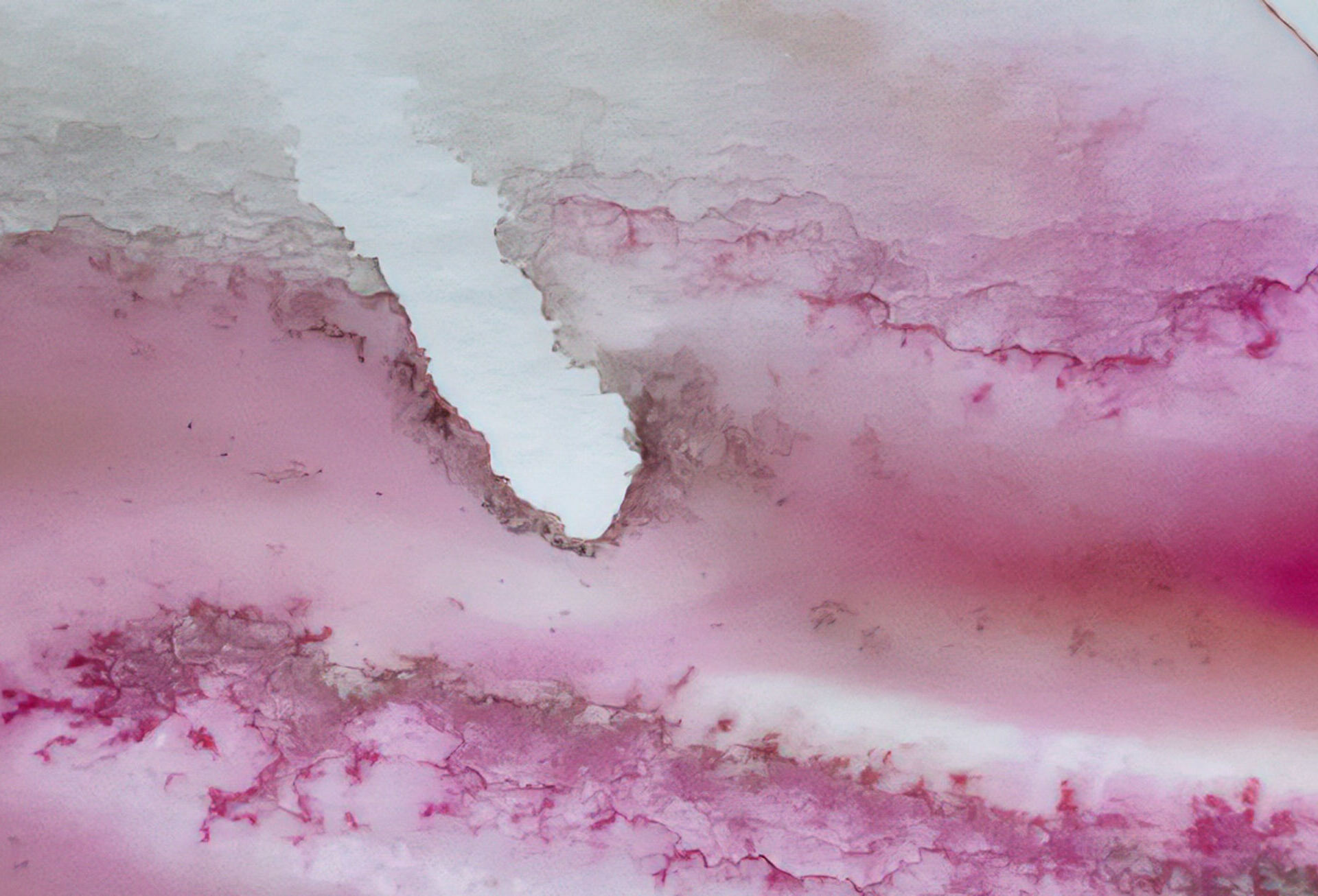 Janeth Berrettini, Malerei