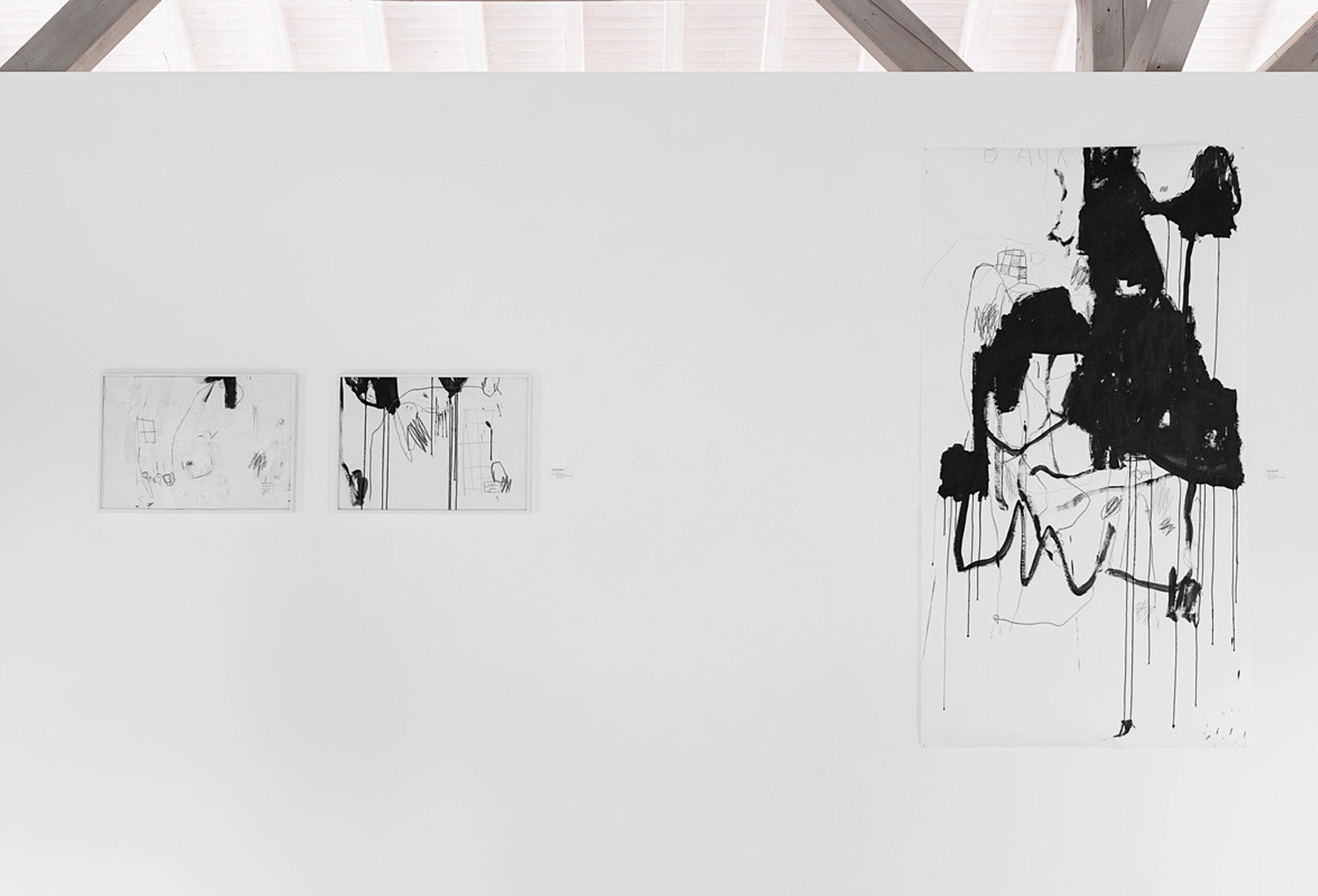 Janet Mueller, Zeichnungen