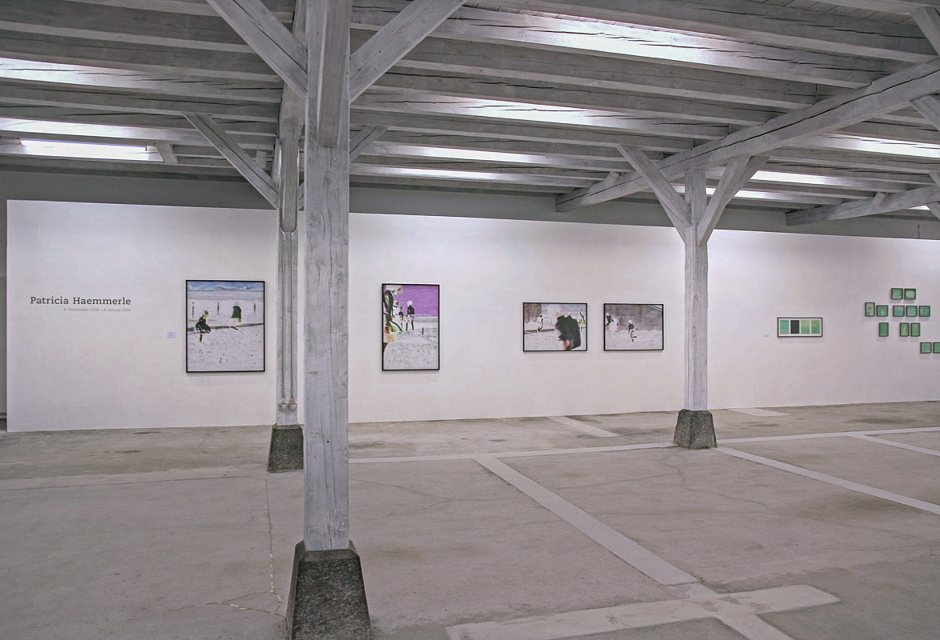 Patricia Haemmerle, Ausstellungsansicht