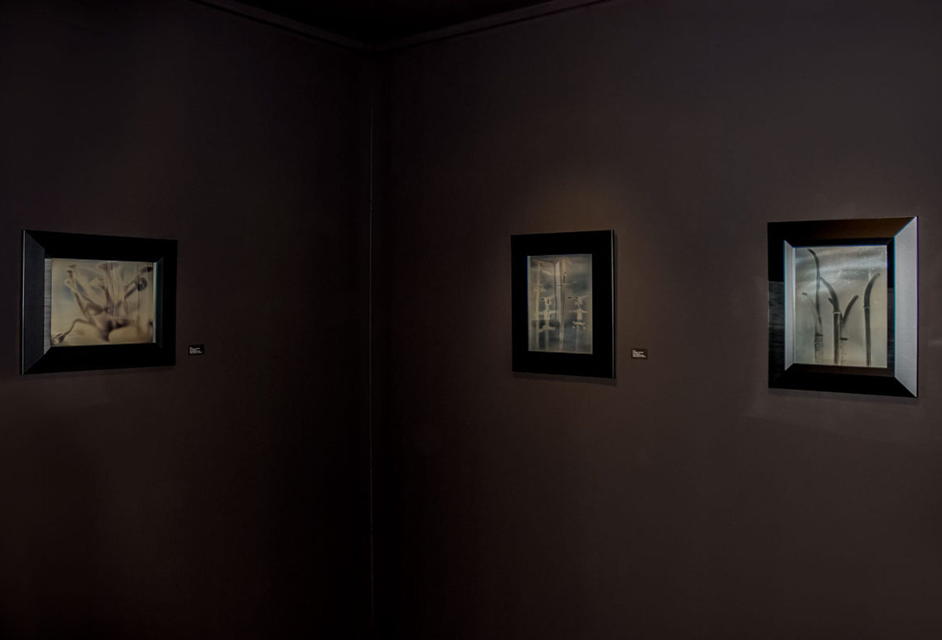 Mark Kessel, Fotografie (Daguerreotypie)