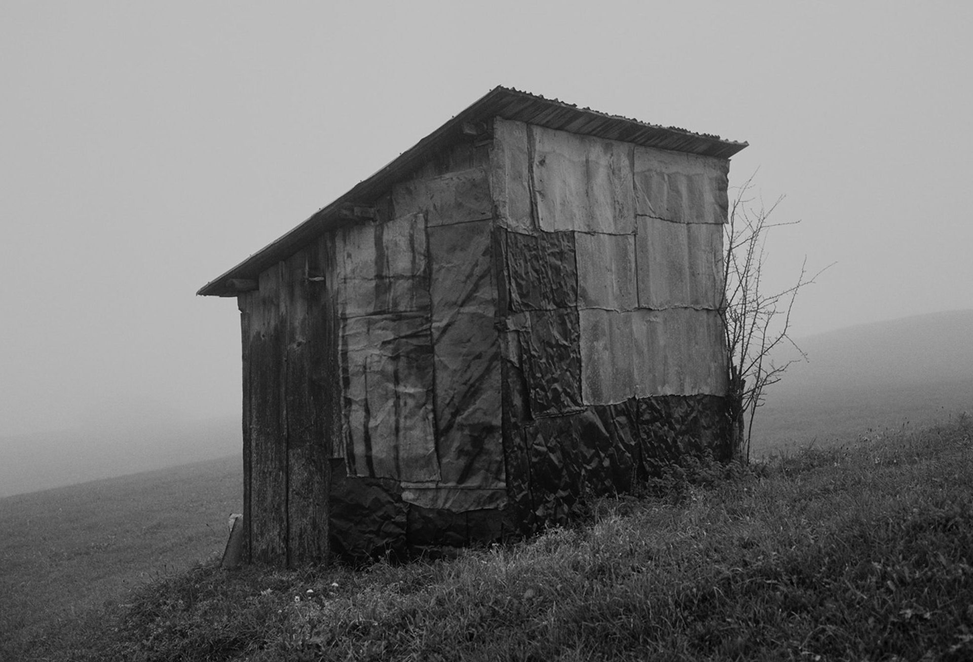 Sandro Livio Straube, Fotografie  (Ausschnitt)