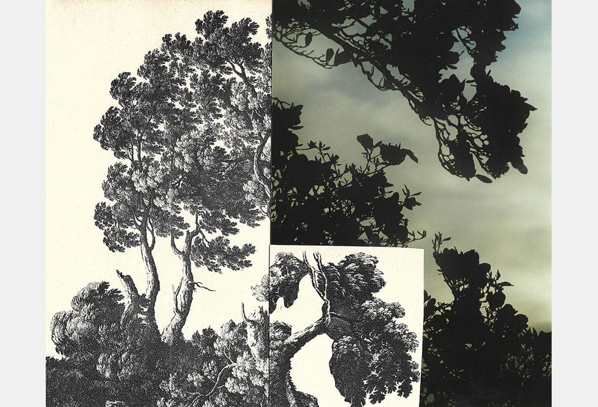 Gemma Carly Pepper, Mischtechnik