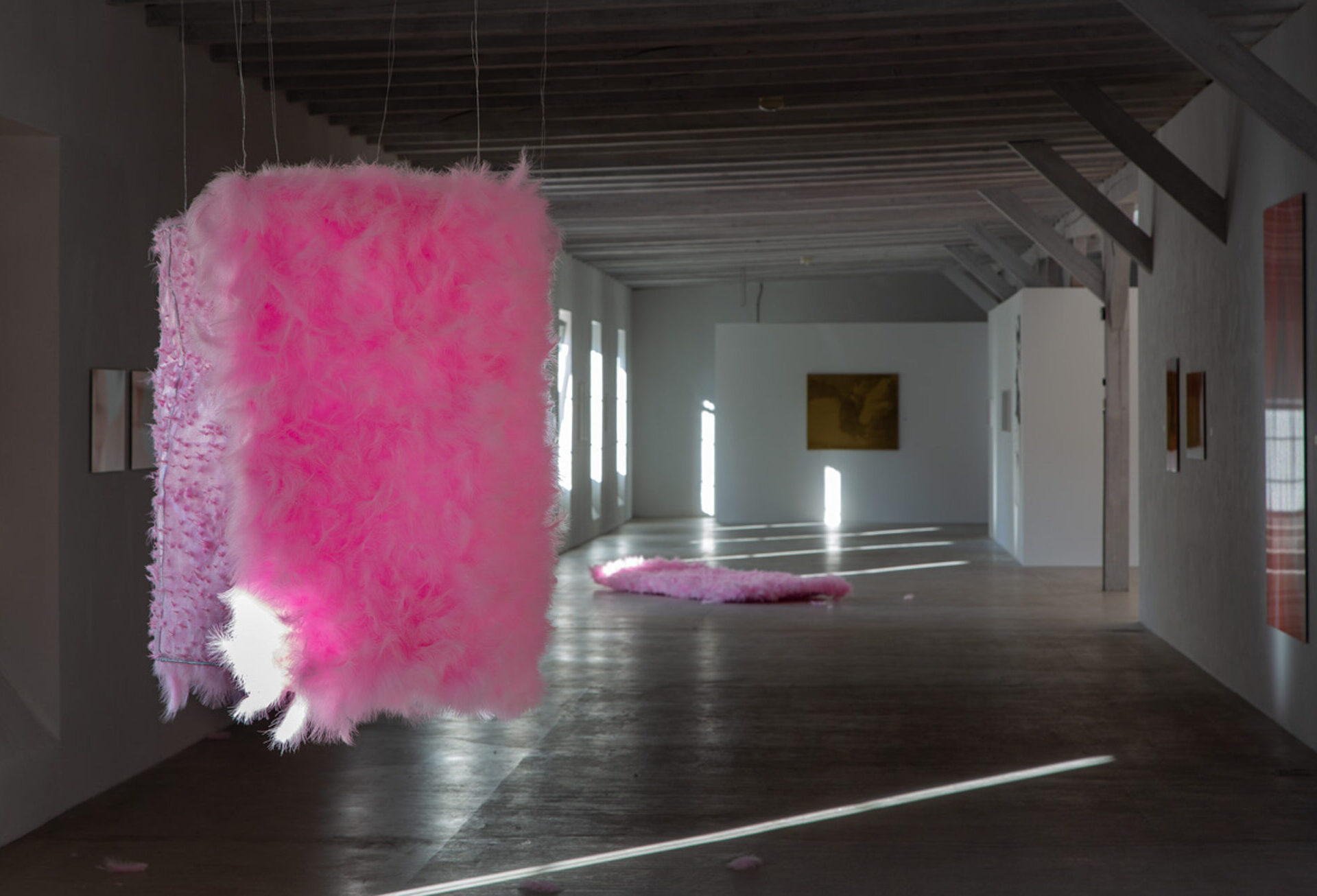 Sonja Lackner, Federobjekte