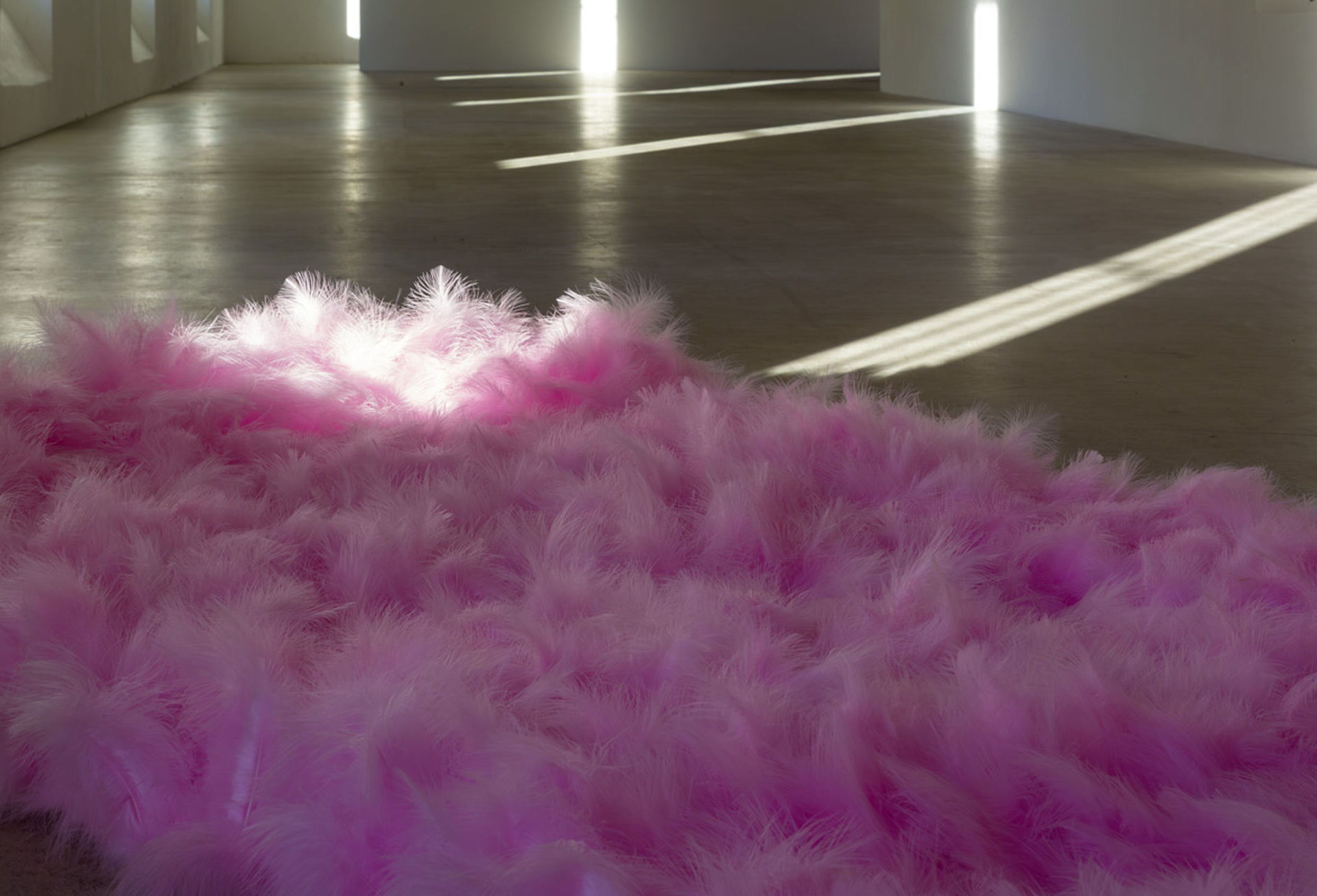 Sonja Lackner, Federobjekt