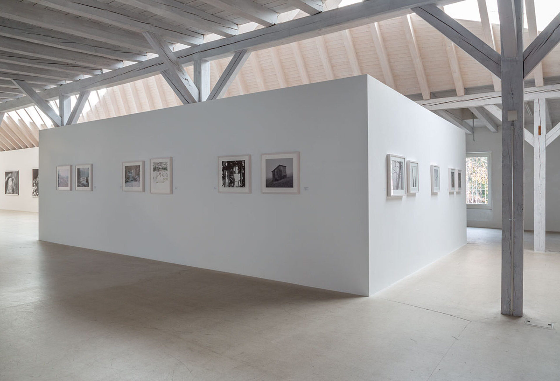 Sandro Livio Straube, Fotografie