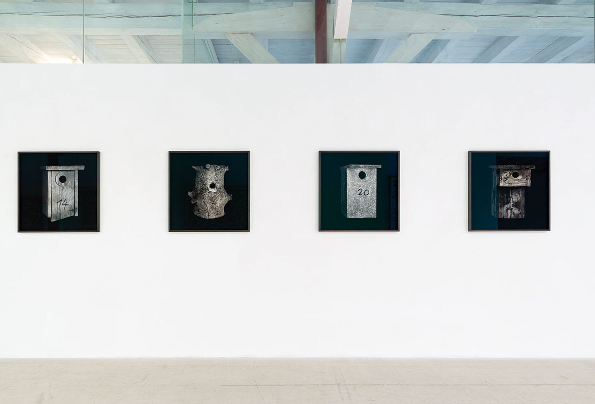 Ausstellungsansicht Patrik Fuchs