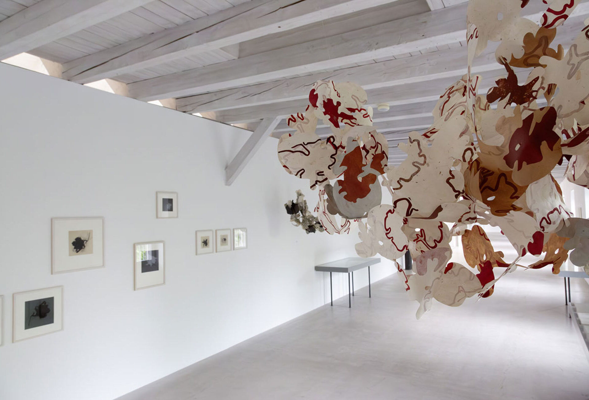 Ausstellungsansicht, Franziska Schiratzki