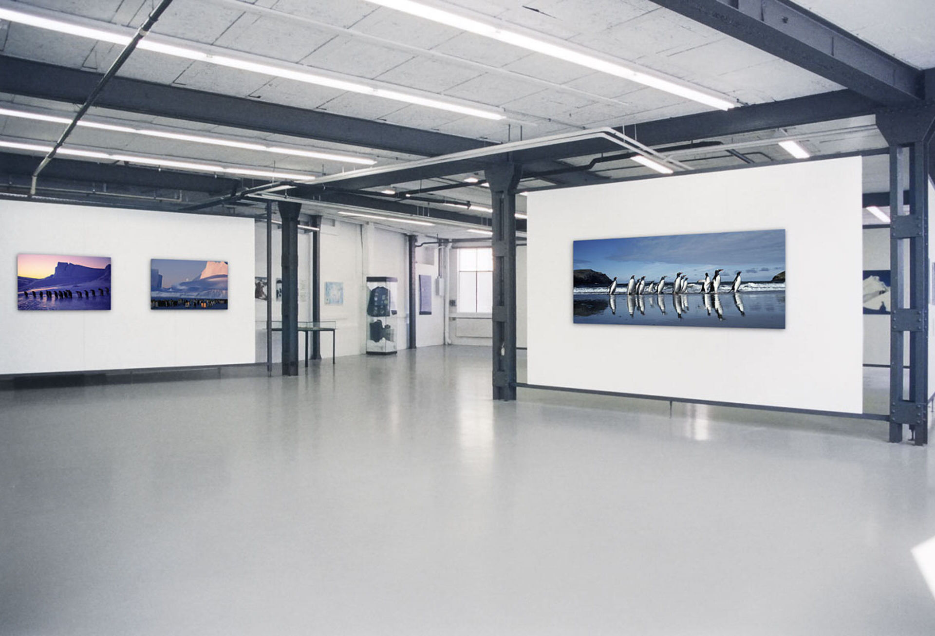 Ausstellung Unter Pinguinen